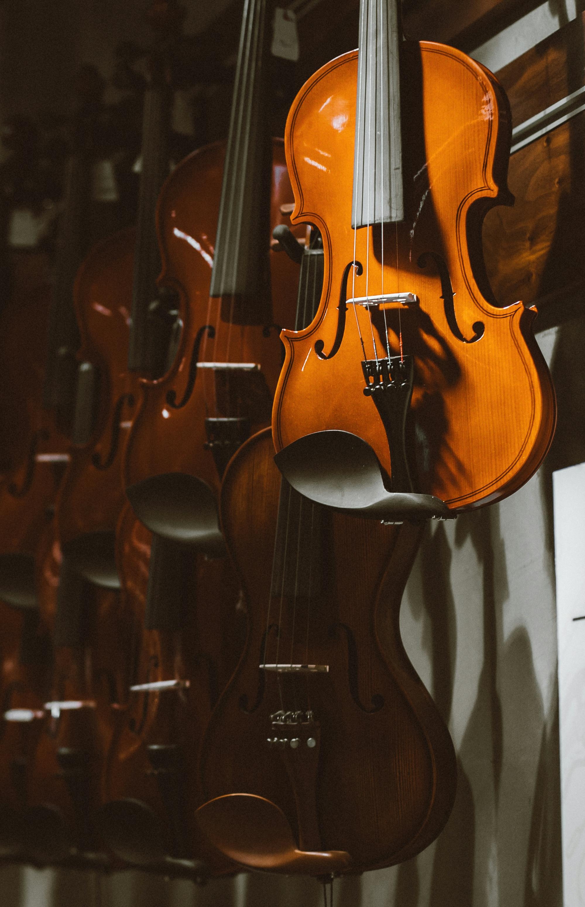 The Violin Shop Experience—Buying Your First Violin